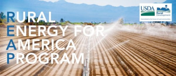 Brightening the Future of Agriculture: The Role of LED Lighting in REAP